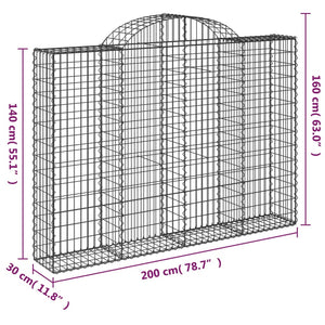vidaXL Gabions avec arche haute 20 pcs 200x30x140/160 cm Fer galvanisé