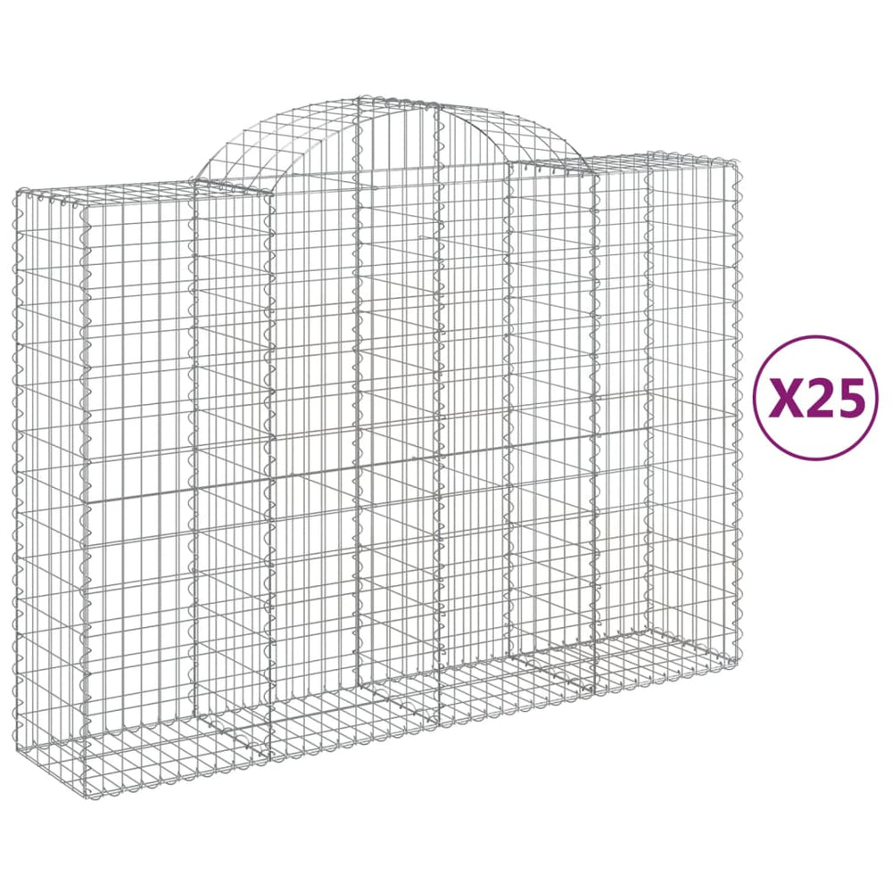 vidaXL Gabions avec arc surélevé 25 pcs 200x50x140/160cm Fer galvanisé