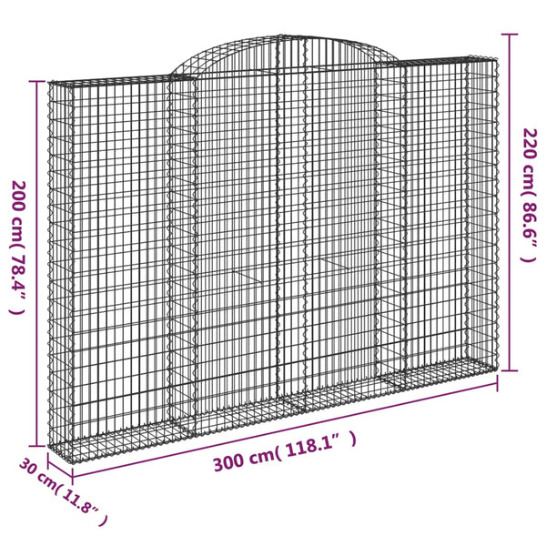 Gabionen mit Hochbogen 2 Stk. 300x30x200/220cm Verzinktes Eisen