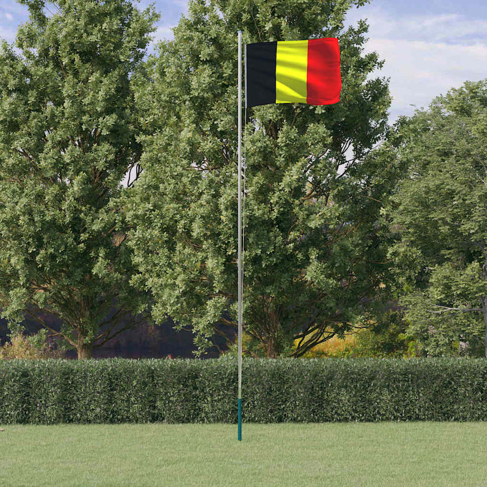vidaXL Drapeau belge avec mât 6,08 m aluminium