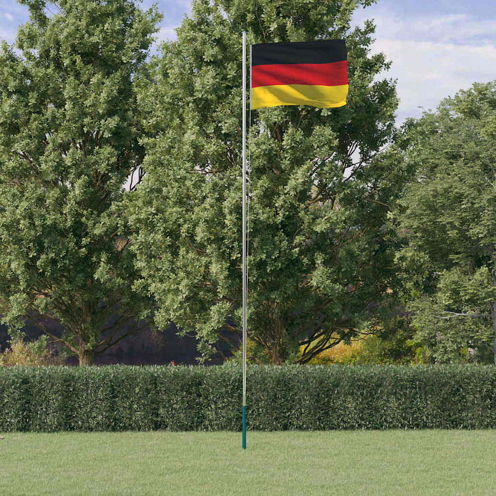 vidaXL Drapeau d'Allemagne avec mât 6,08 m Aluminium
