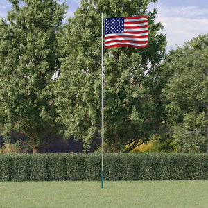 vidaXL Drapeau des États-Unis avec mât 6,08 m aluminium