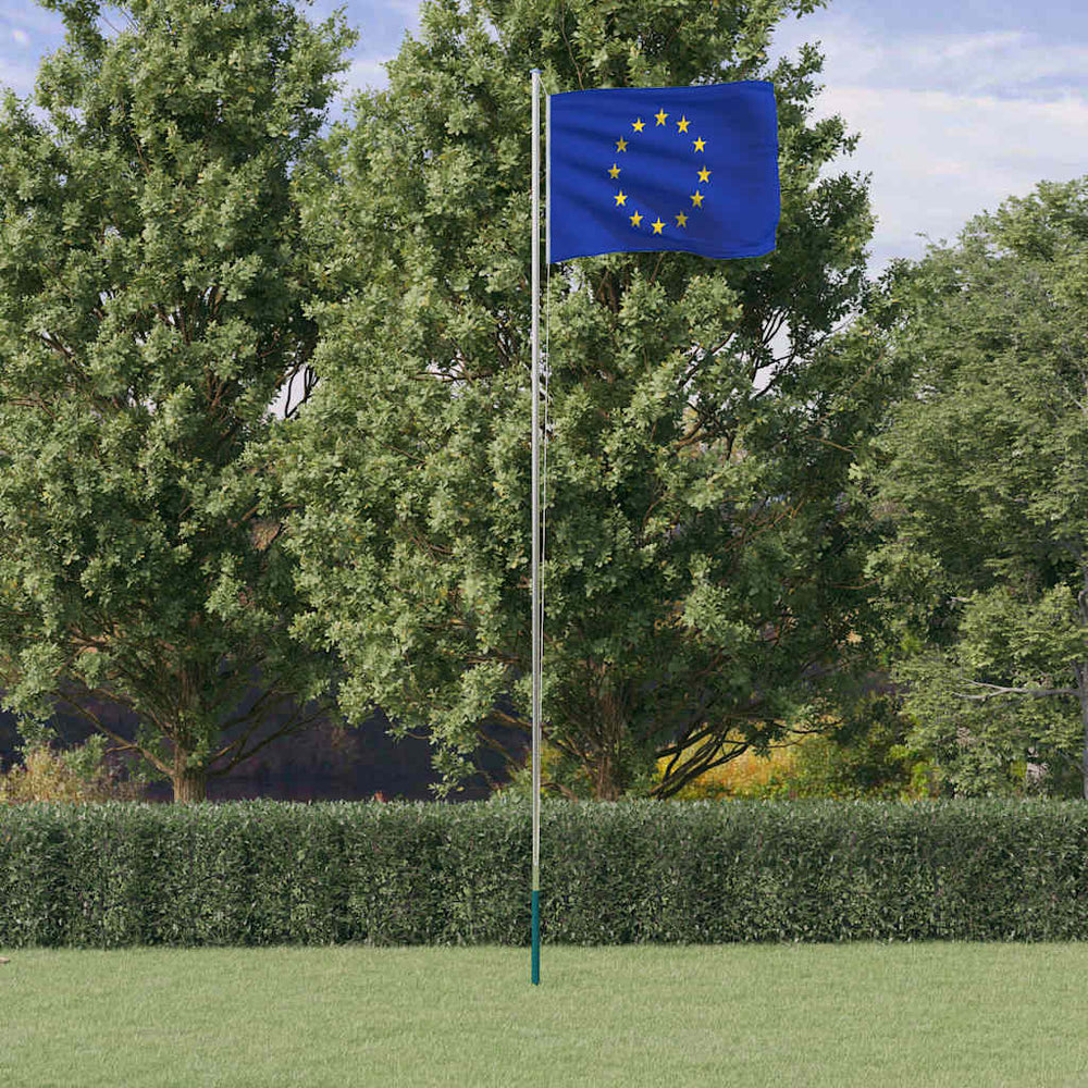 vidaXL Drapeau européen avec mât 6,08 m Aluminium