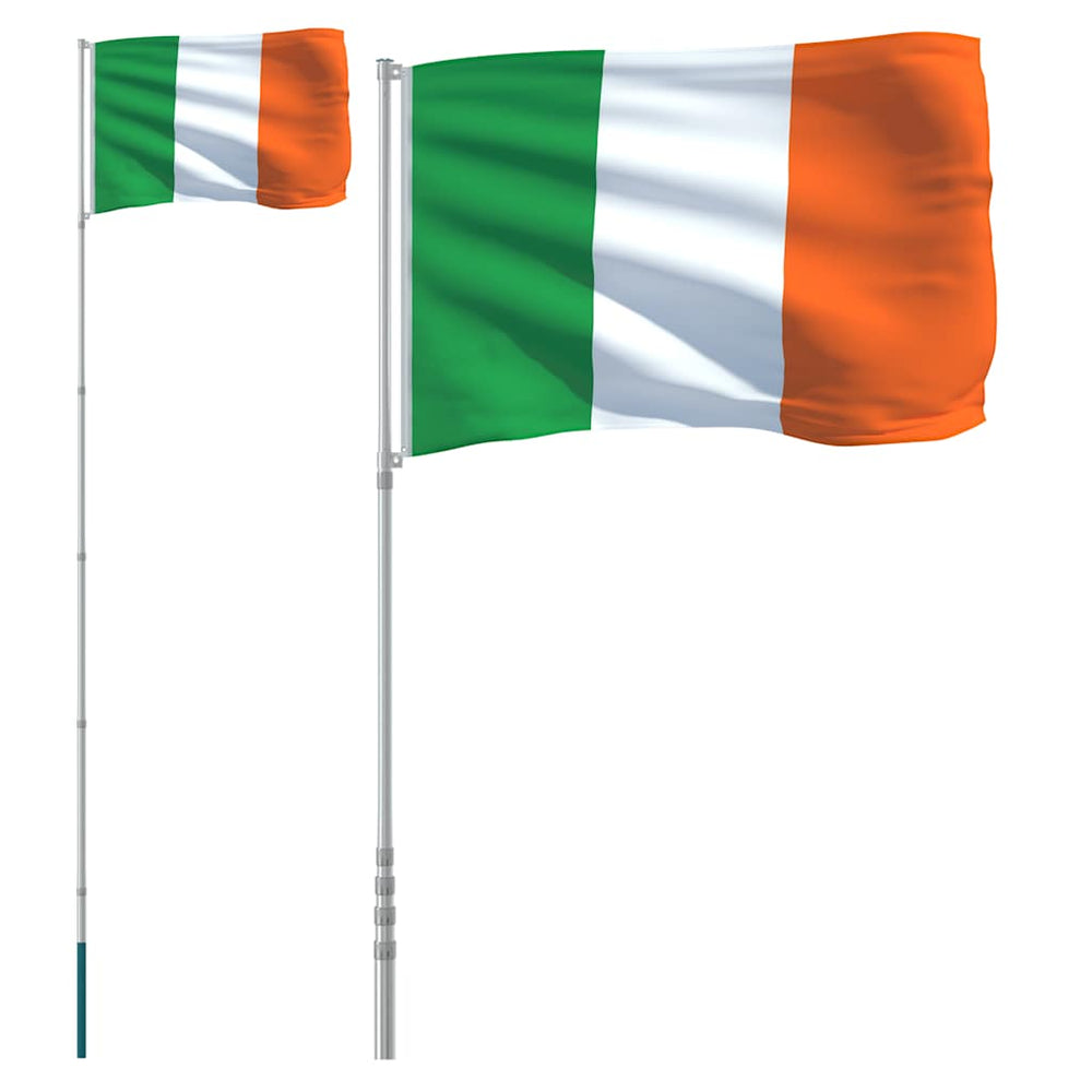 vidaXL Drapeau de l'Irlande avec mât 5,5 m Aluminium