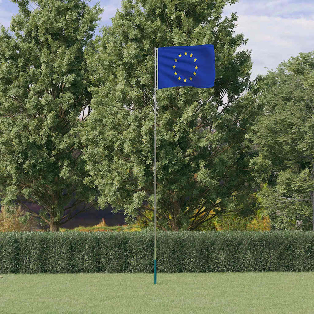 vidaXL Drapeau européen avec mât 5,5 m aluminium