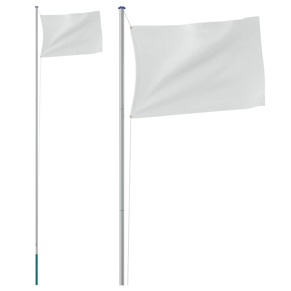 vidaXL Mât de drapeau démontable argenté 6,08 m aluminium