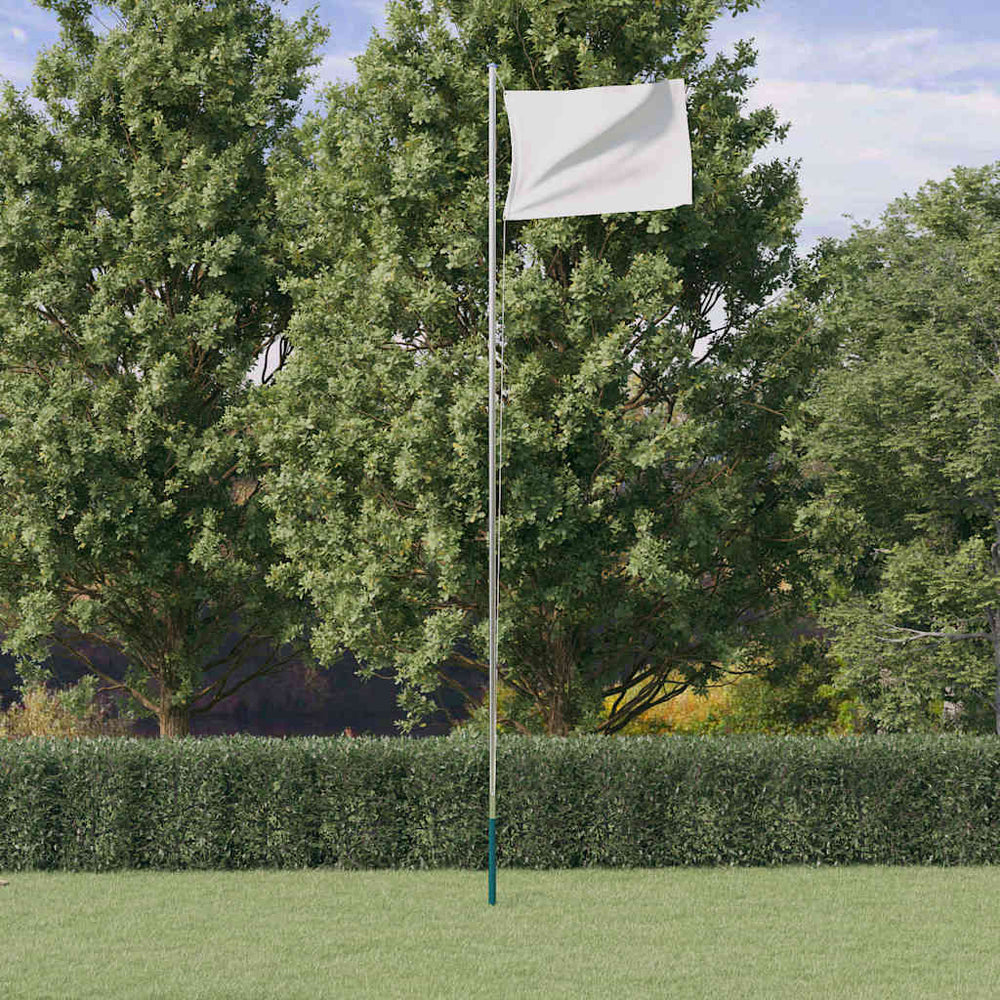 vidaXL Mât de drapeau démontable argenté 6,08 m aluminium