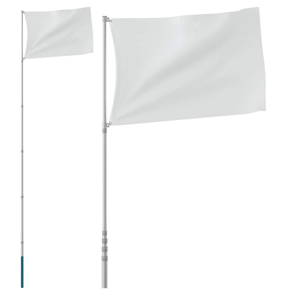 vidaXL Mât de drapeau télescopique argenté 5,5 m Aluminium
