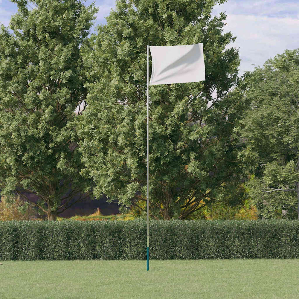 vidaXL Mât de drapeau télescopique argenté 5,5 m Aluminium