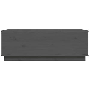 Grauer Couchtisch 100x50 cm Kiefer Massivholz