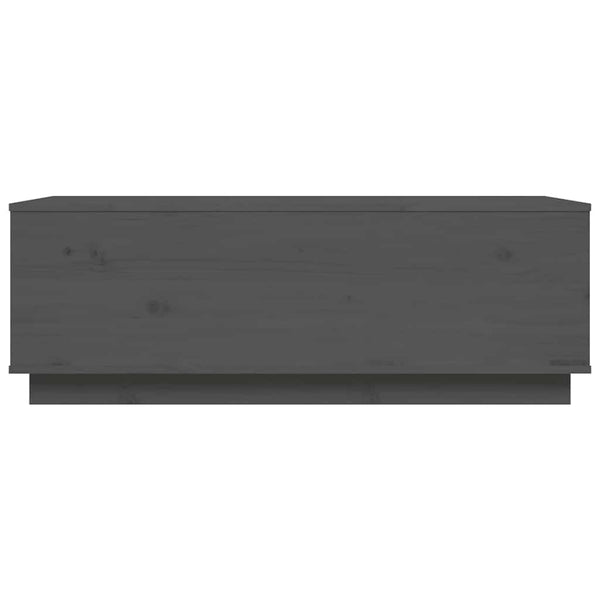Grauer Couchtisch 100x50 cm Kiefer Massivholz