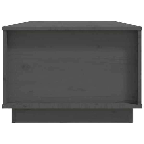 Grauer Couchtisch 100x50 cm Kiefer Massivholz
