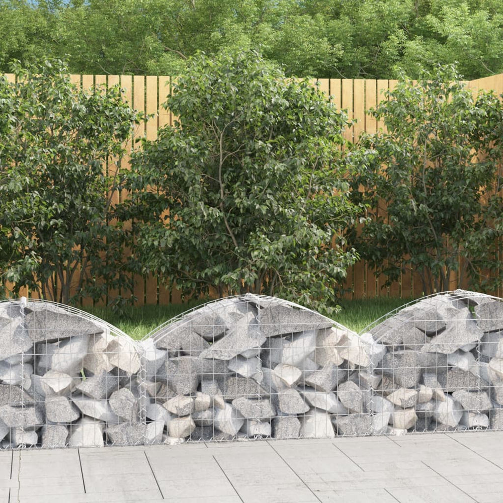 vidaXL Gabion with High Arch 100x30x40/60 cm Galvanized Iron