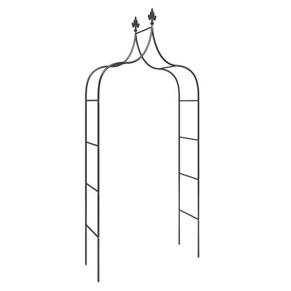 Gartenbogen 2er Set, Stahl Schwarz 260cm