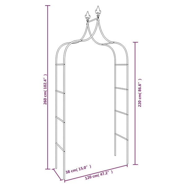 Gartenbogen 2er Set, Stahl Schwarz 260cm