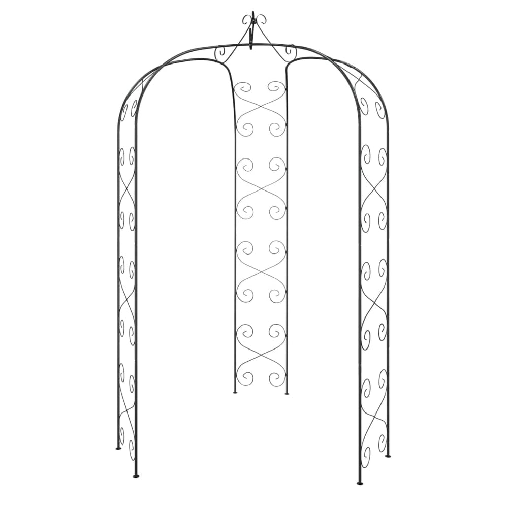 vidaXL Arche de jardin noire Ø180x255 cm Acier