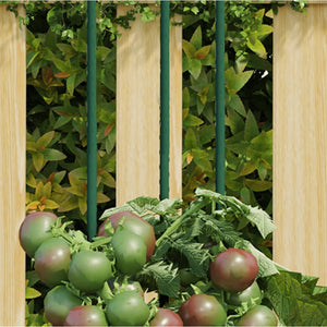 Pflanzenstützen 60cm, 30er Set, Grün