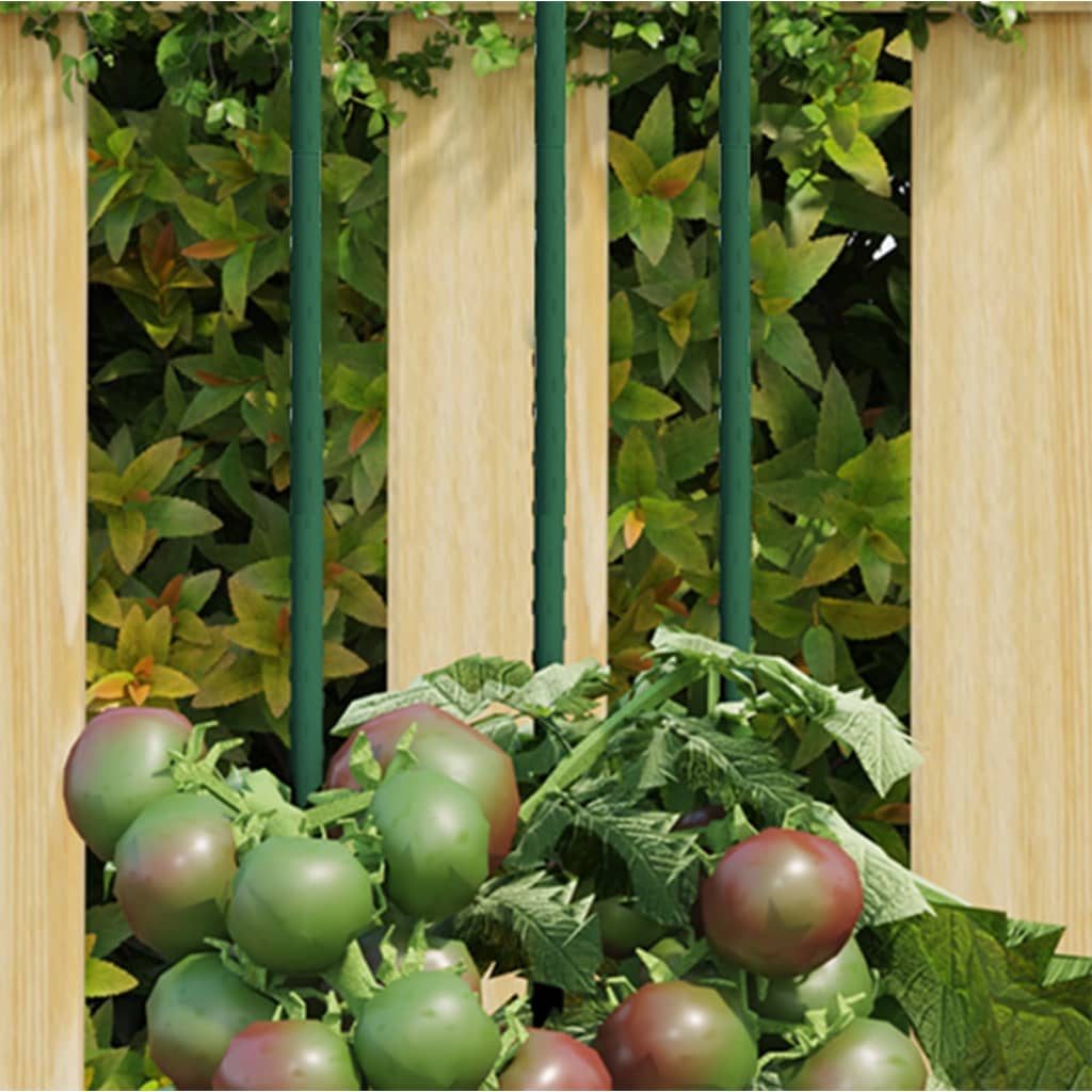Pflanzenstützen Grün 180cm, 30er Set