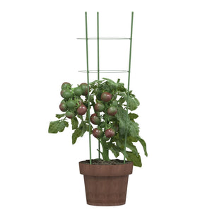 Pflanzenstützen mit Ringen, 60cm, 5er-Set