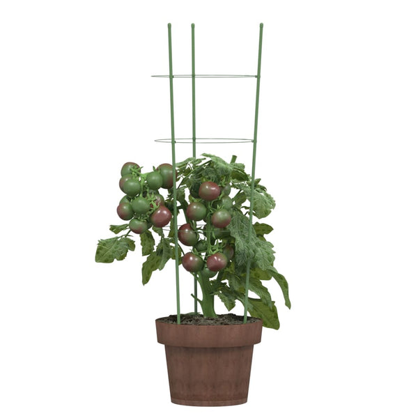Pflanzenstützen mit Ringen, 60cm, 5er-Set