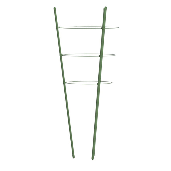 Pflanzenstützen mit Ringen, 60cm, 5er-Set