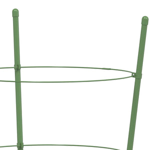 Pflanzenstützen mit Ringen, 60cm, 5er-Set