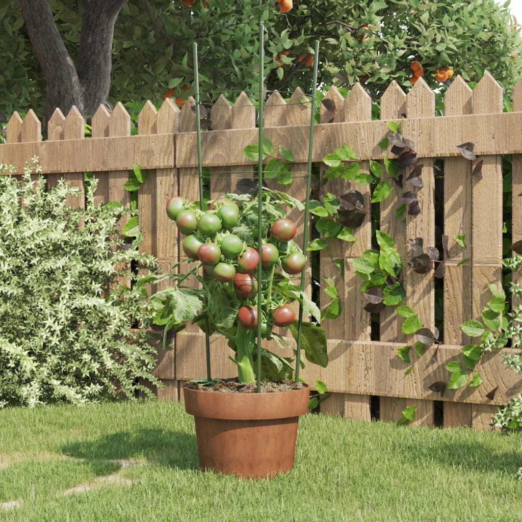 Pflanzenstützen mit Ringen, 60cm, 5er-Set