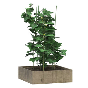 Pflanzenstütze mit Ringen, 75cm, 5er Set