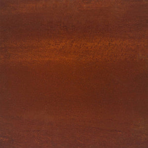 vidaXL Jardinières murales 2 pcs Acier corten rouillé 30x10x25 cm