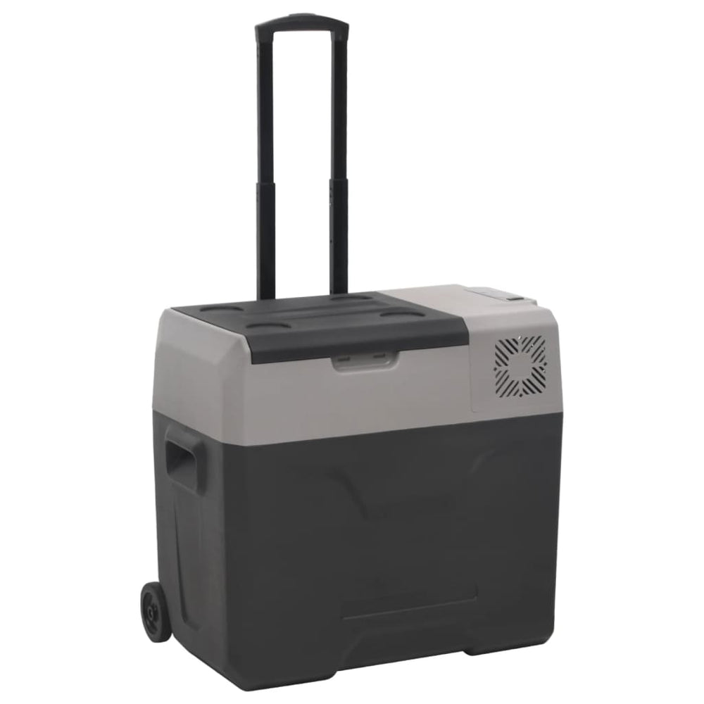 Kühlbox mit Rollen 30L Schwarz & Grau