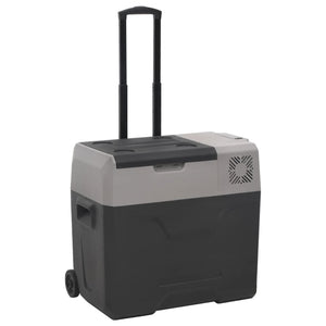 Kühlbox mit Rollen 30L Schwarz & Grau