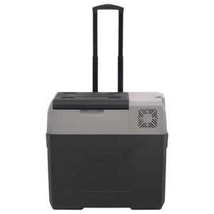 Kühlbox mit Rollen 30L Schwarz & Grau