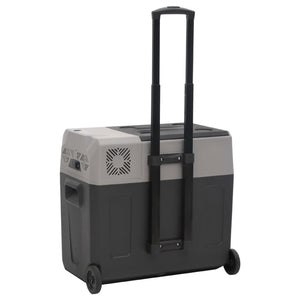 Kühlbox mit Rollen 30L Schwarz & Grau