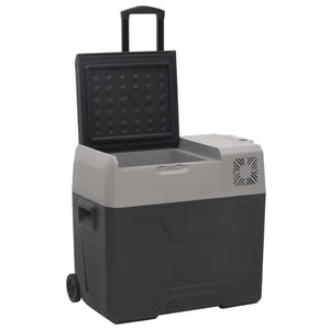 Kühlbox mit Rollen 30L Schwarz & Grau