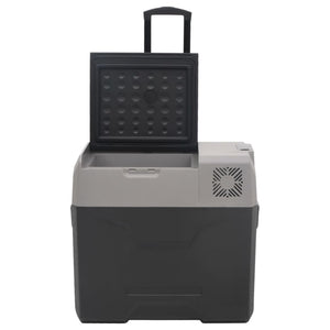 Kühlbox mit Rollen 30L Schwarz & Grau