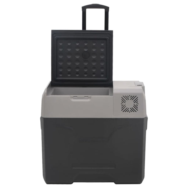 Kühlbox mit Rollen 30L Schwarz & Grau
