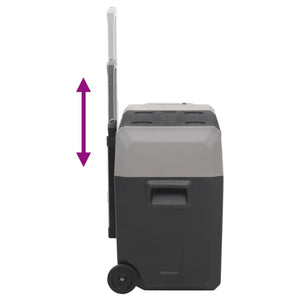 Kühlbox mit Rollen 30L Schwarz & Grau