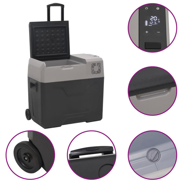 Kühlbox mit Rollen 30L Schwarz & Grau