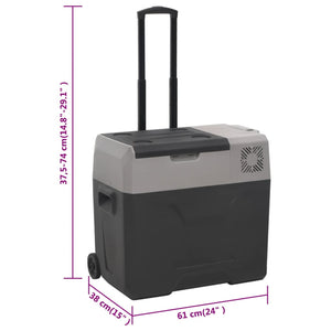 Kühlbox mit Rollen 30L Schwarz & Grau