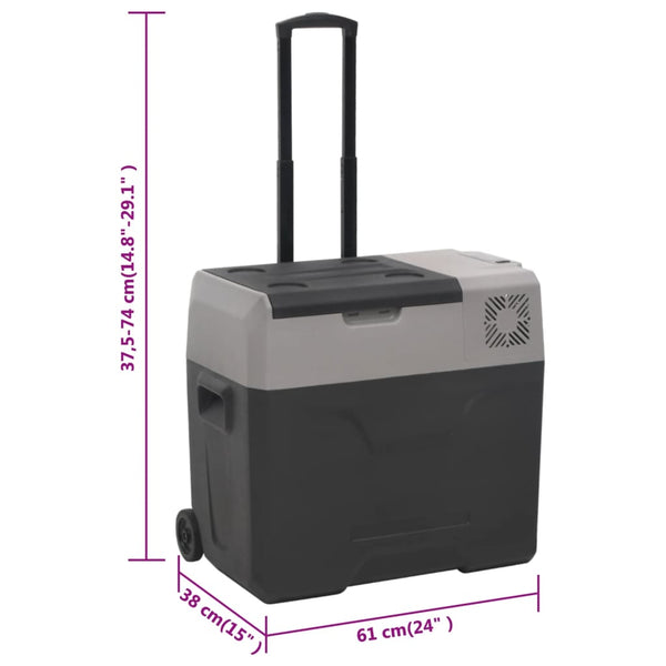 Kühlbox mit Rollen 30L Schwarz & Grau