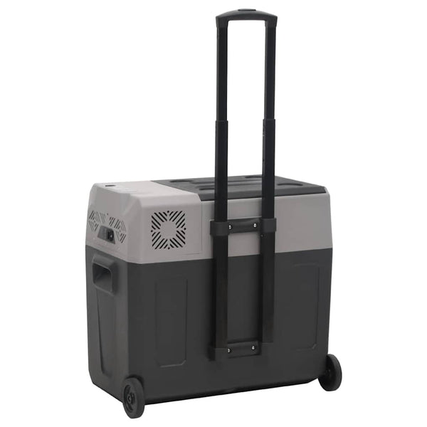 Kühlbox mit Rollen 40L, Schwarz & Grau