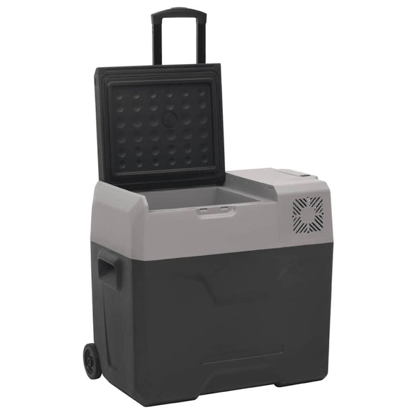 Kühlbox mit Rollen 40L, Schwarz & Grau