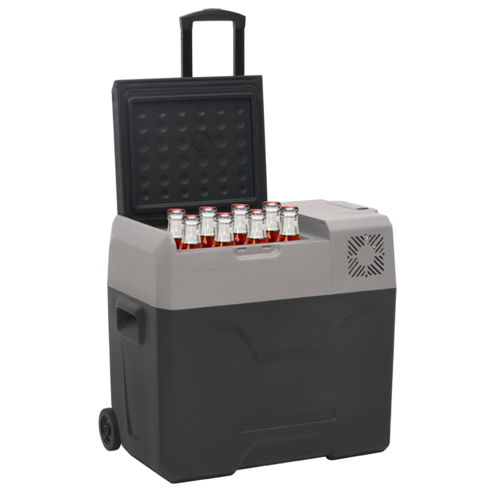 Kühlbox mit Rollen 50L Schwarz & Grau