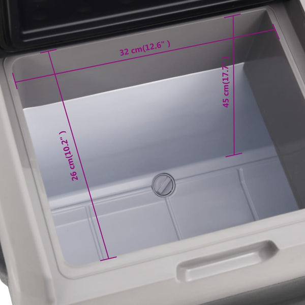 Kühlbox mit Rollen 50L Schwarz & Grau
