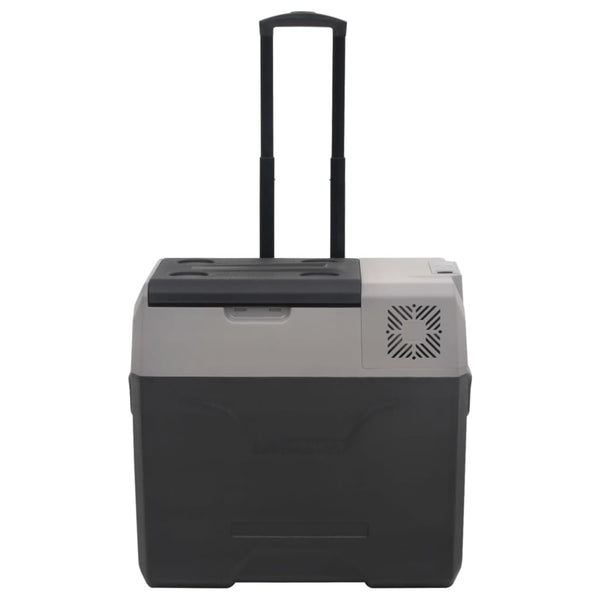 Kühlbox mit Rollen 50L Schwarz & Grau