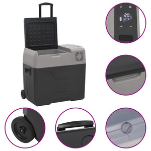 Kühlbox mit Rollen 50L Schwarz & Grau