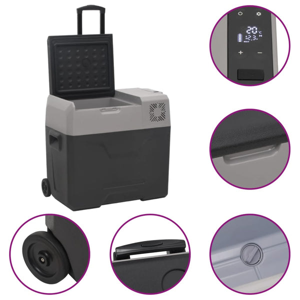 Kühlbox mit Rollen 50L Schwarz & Grau