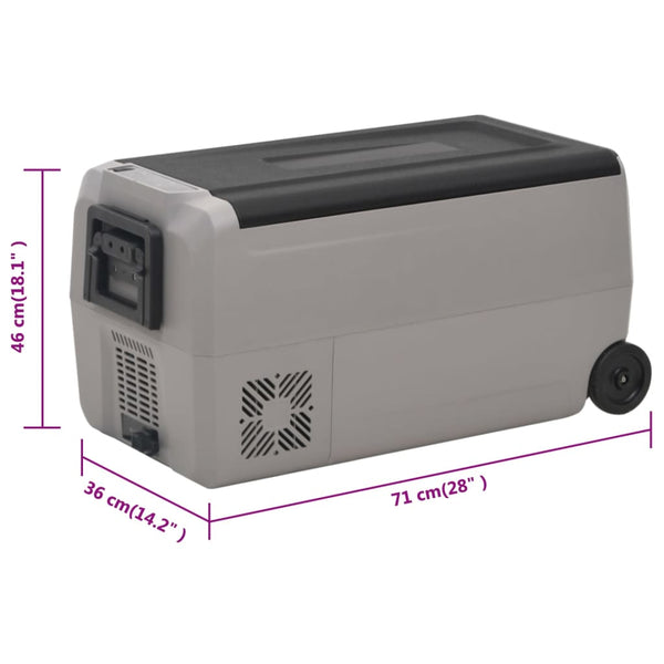 Kühlbox mit Rollen 50L Schwarz & Grau
