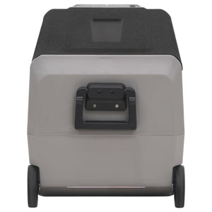Kühlbox mit Rollen 50L Schwarz & Grau