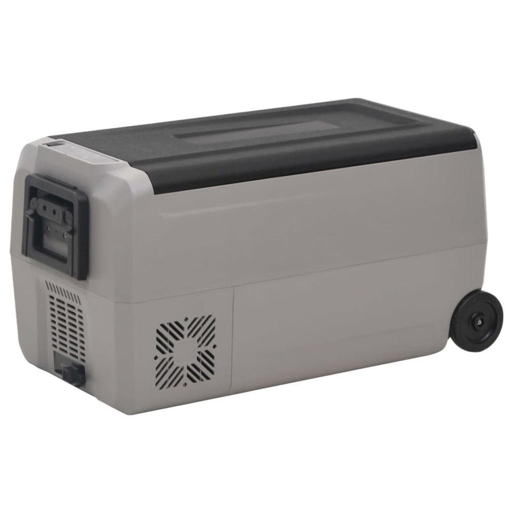 Kühlbox mit Rollen 60L Schwarz & Grau